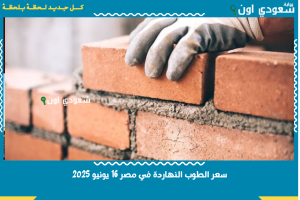 سعر الطوب النهاردة في مصر 16 يونيو 2025